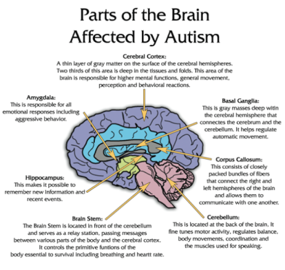 autism facts 2